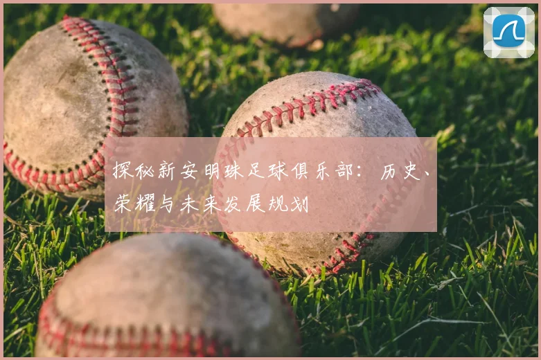 探秘新安明珠足球俱乐部：历史、荣耀与未来发展规划